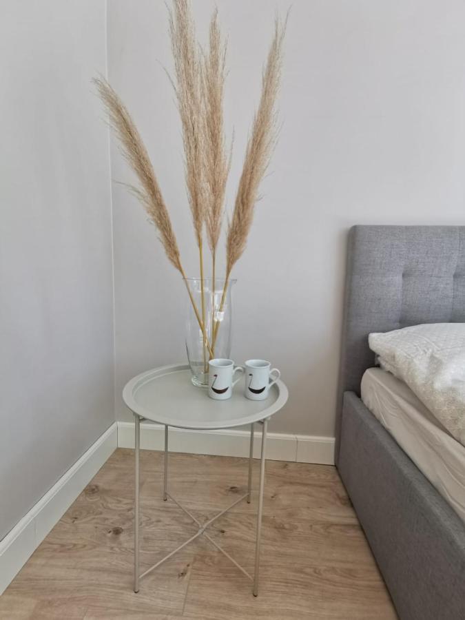Tolstoi Scandinavian 1 Bedroom Apartment + Free Parking Tartu Dış mekan fotoğraf